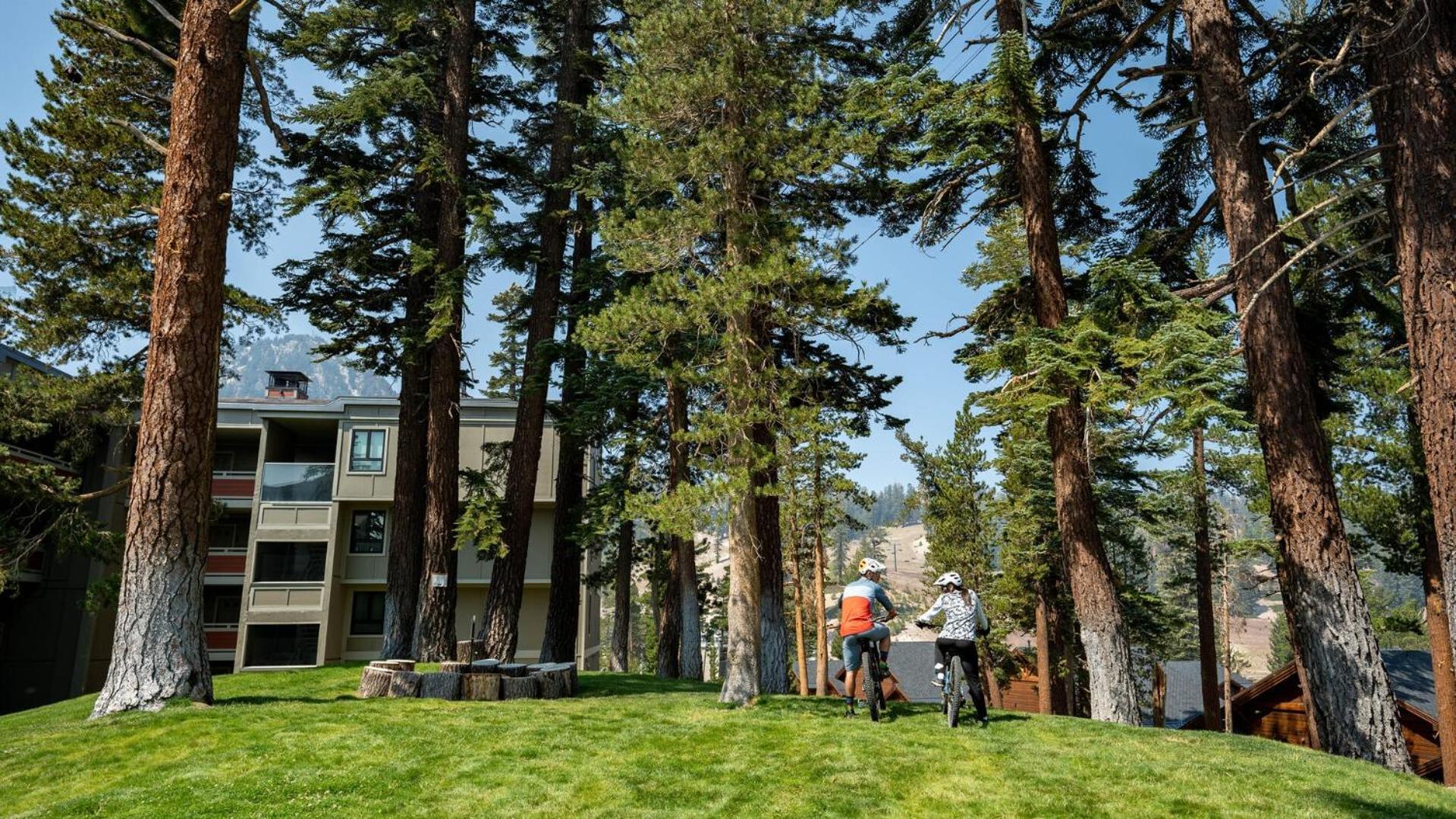 1849 542 * Mammoth Lakes